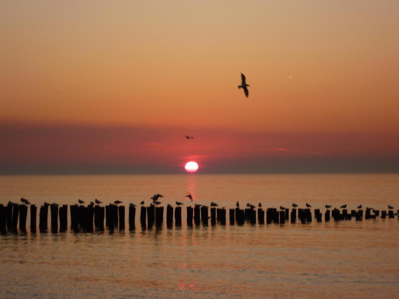 Prachtig Appartement Dichtbij Strand Do07 Domburg Exteriör bild